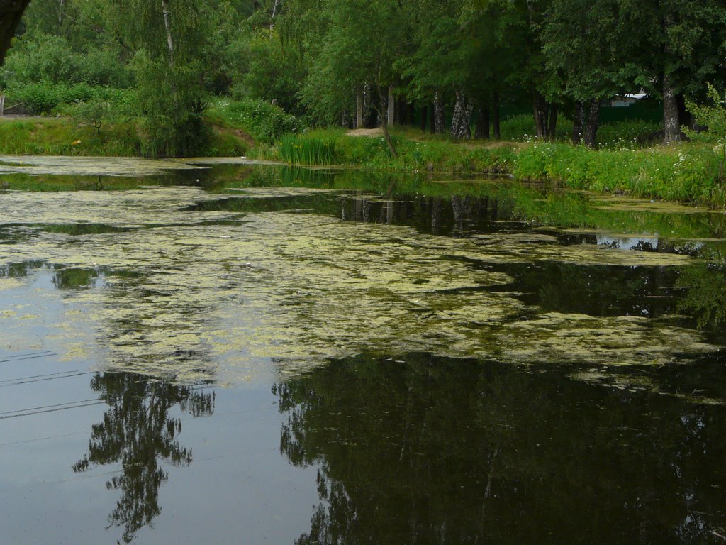 Тарасовка, пруд