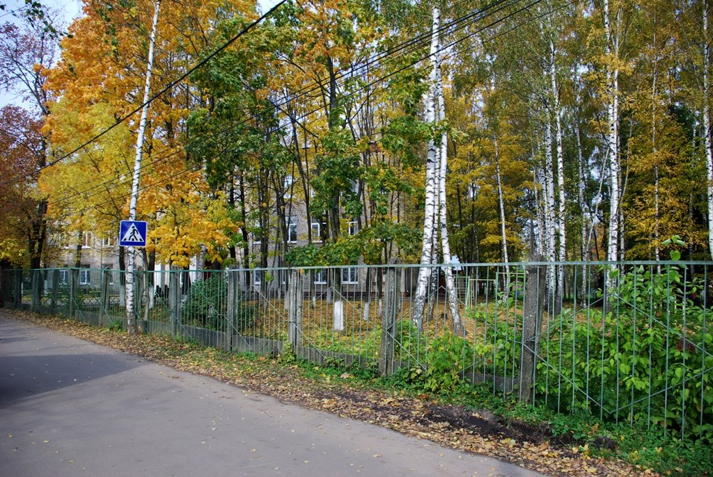 Черкизовкая средняя школа