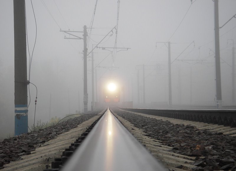 Light in the fog