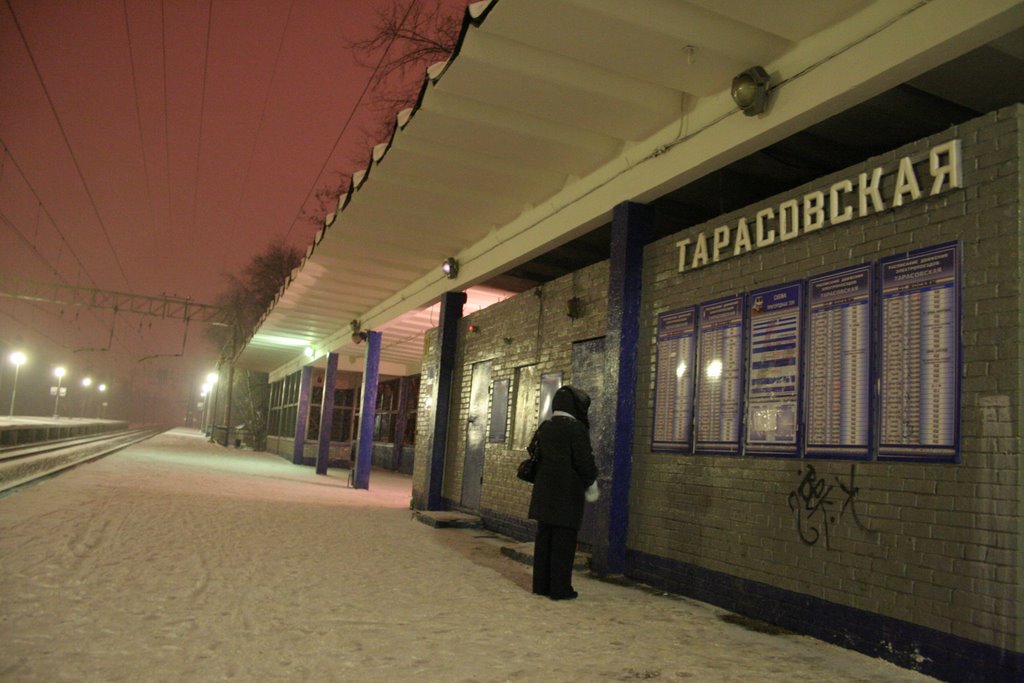 ст. Тарасовская, западная платформа