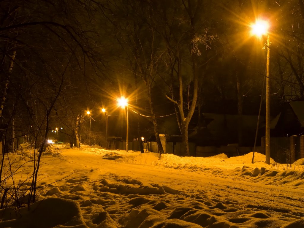 Челюскинский