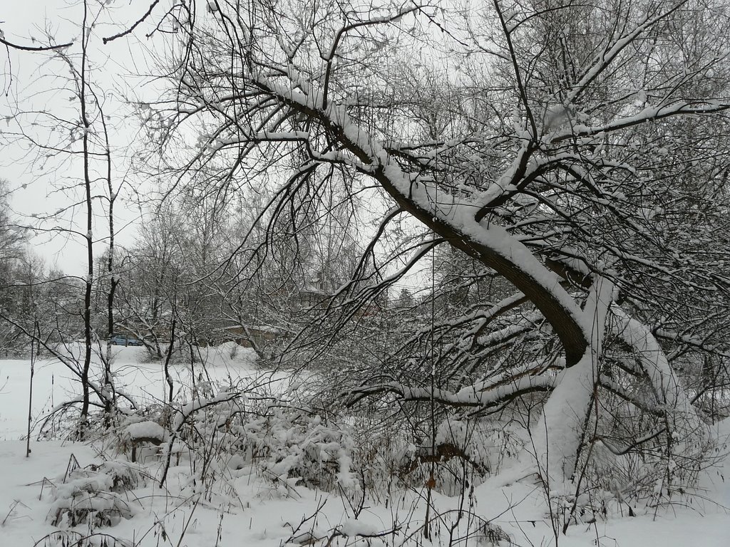 Зима в Челюхе