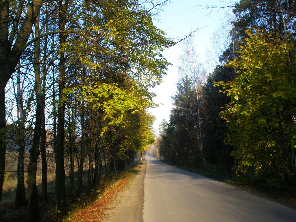 Мытищинский район, Московская область