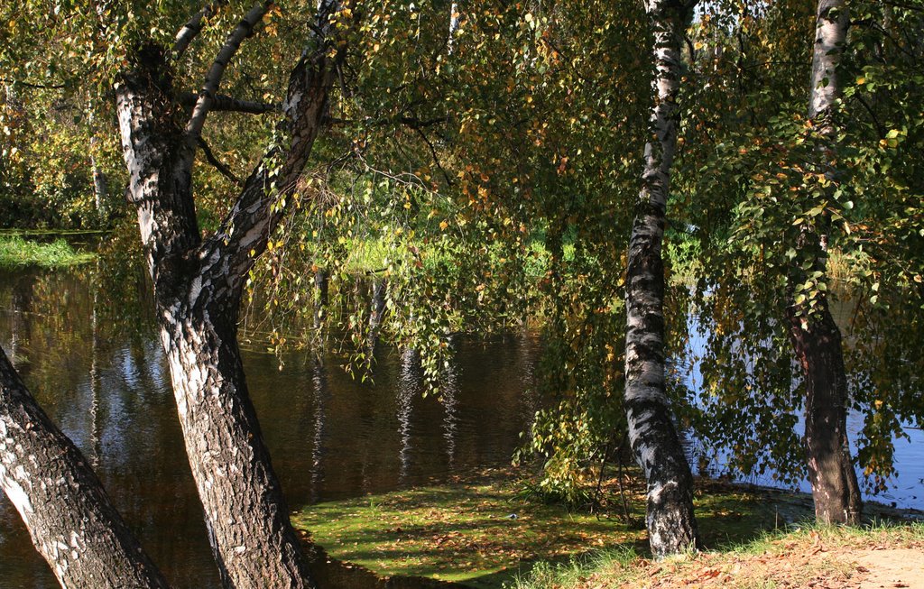 Kliazma
