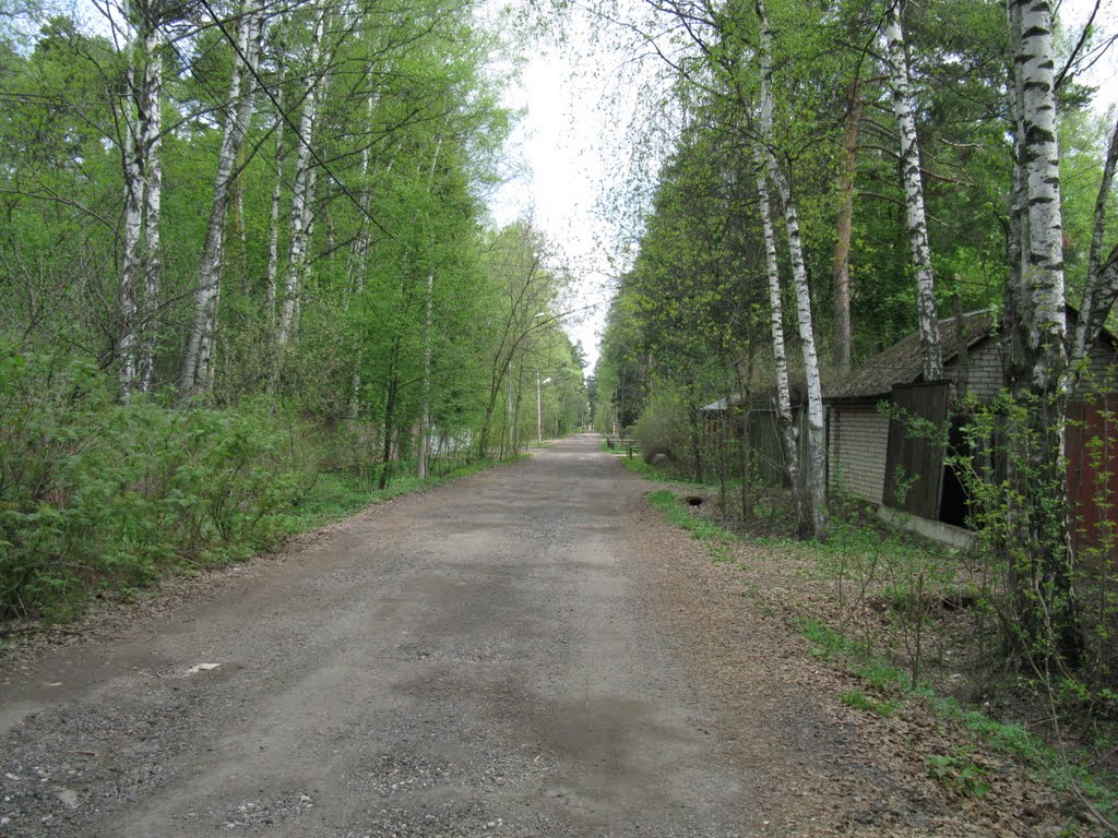 Улица Коларова