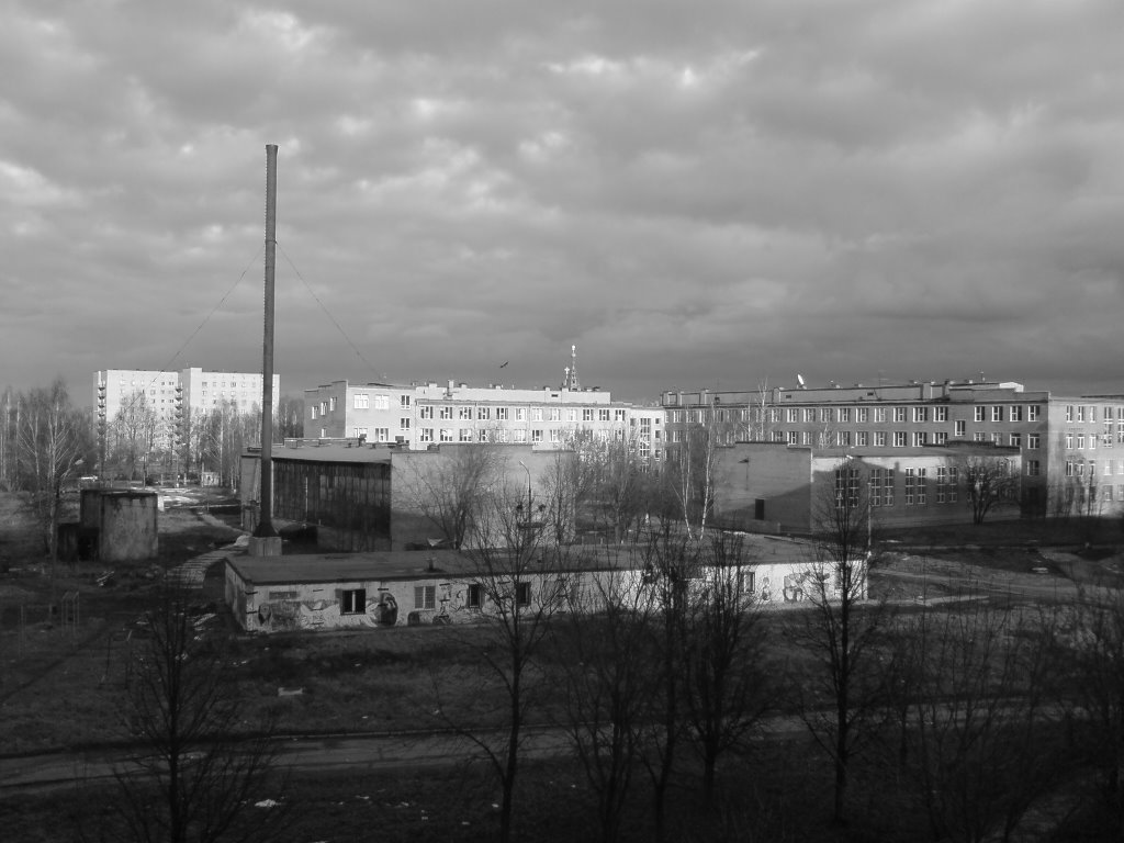 вид из окна моей комнаты