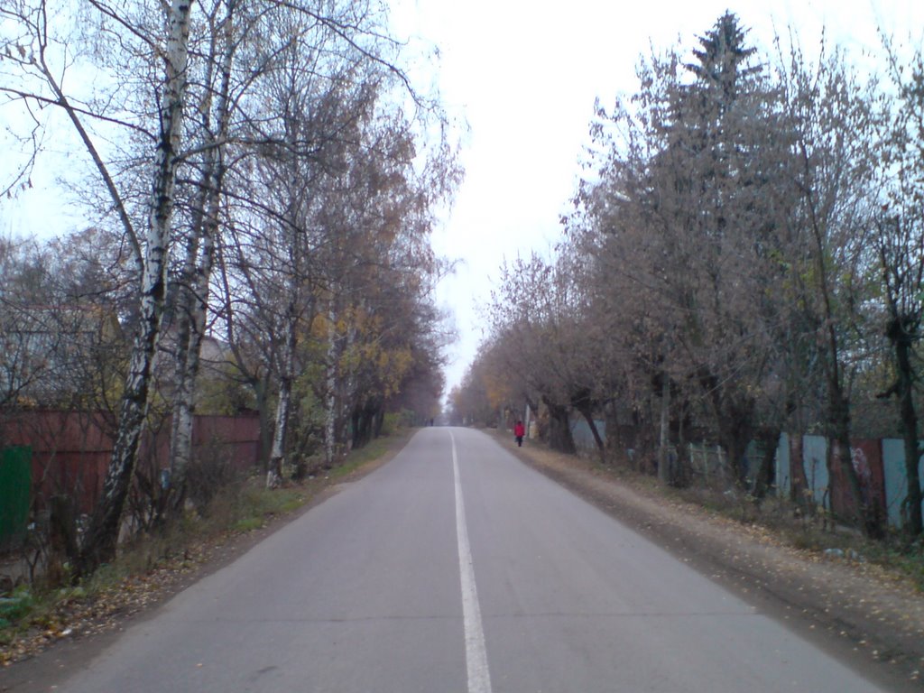 дорога к университету
