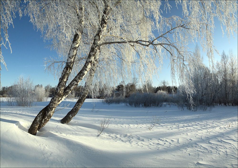 Третий лишний