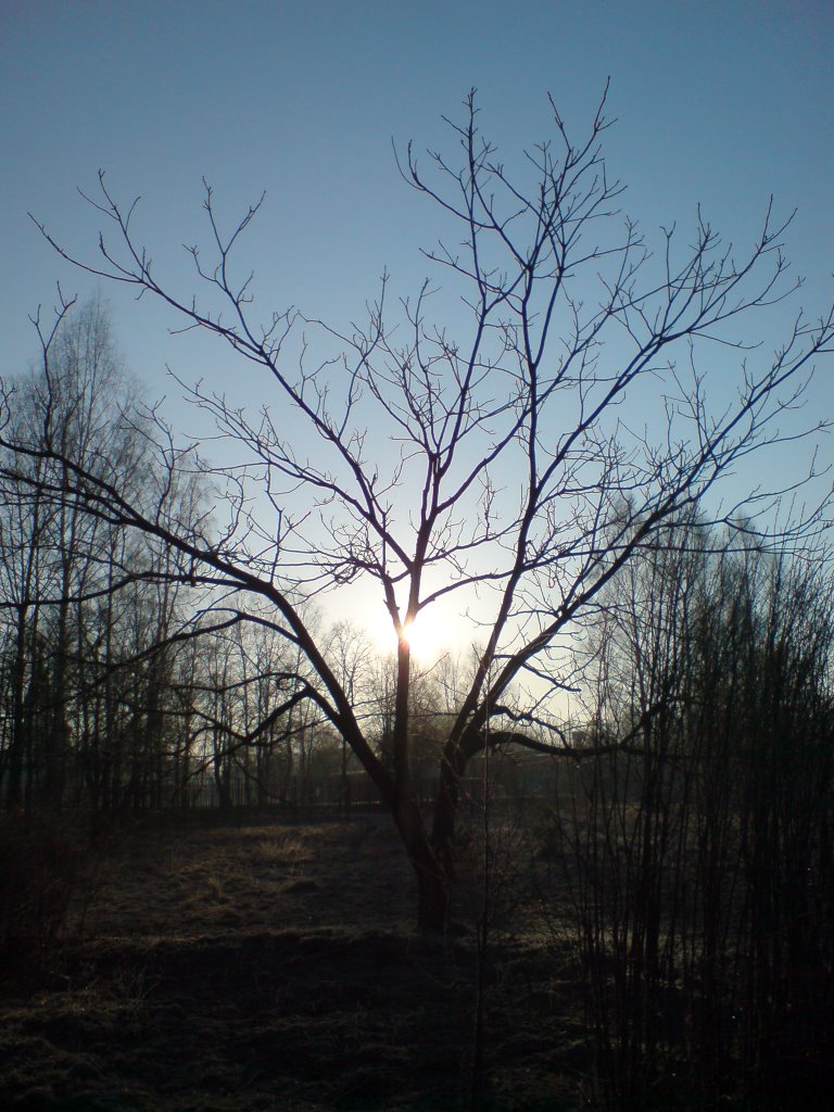восход
