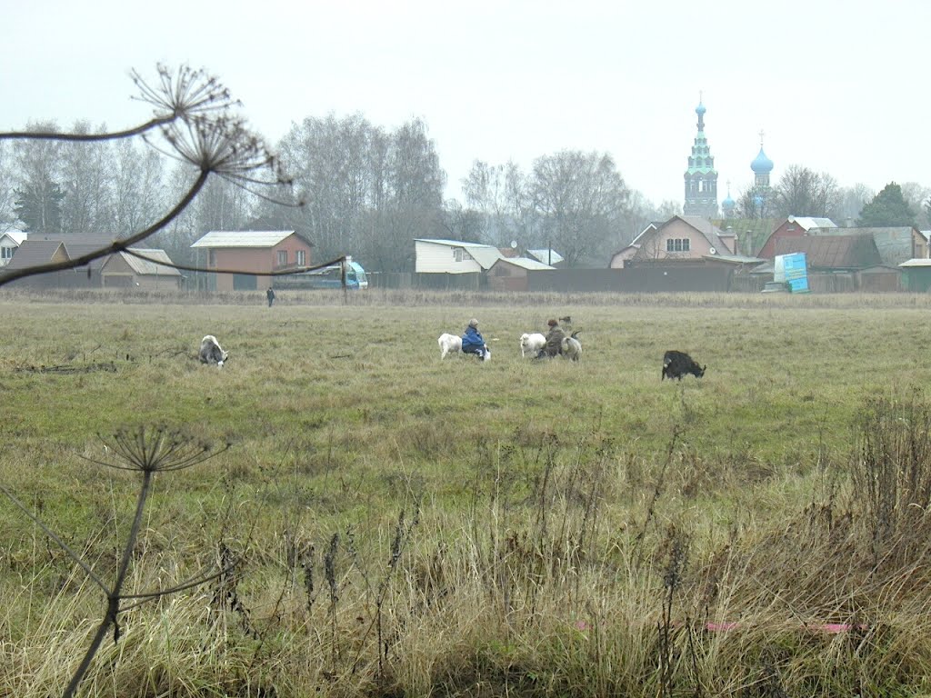 храм в Тарасовке