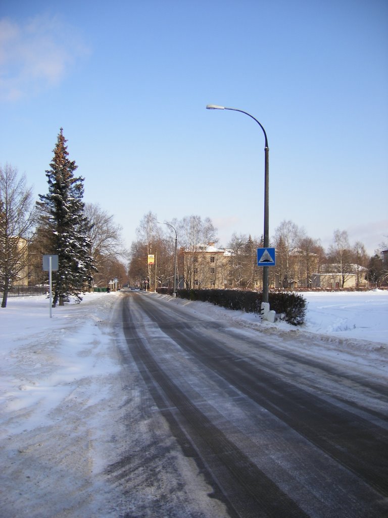 Черноголовка, ул. Вторая