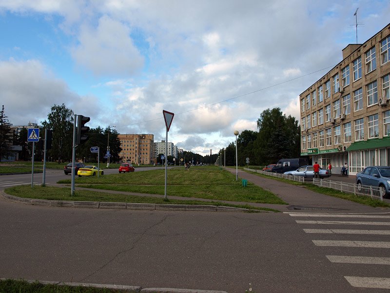 Институтский проспект