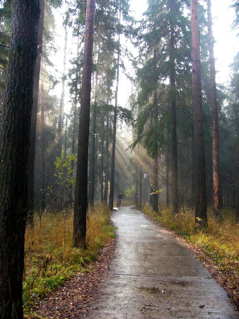 После дождя