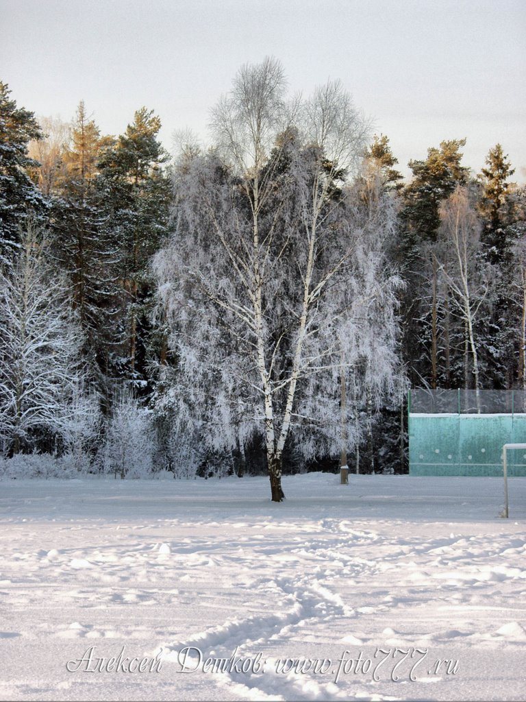 зима в ЧГ