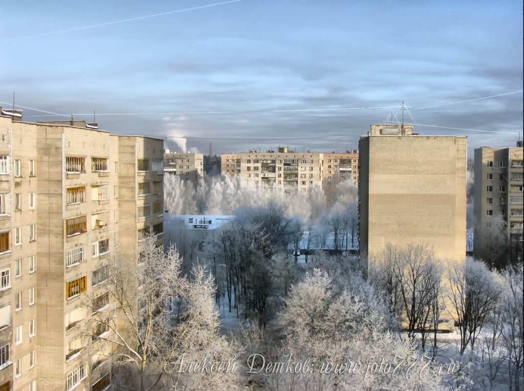 дворик на ул.Центральная