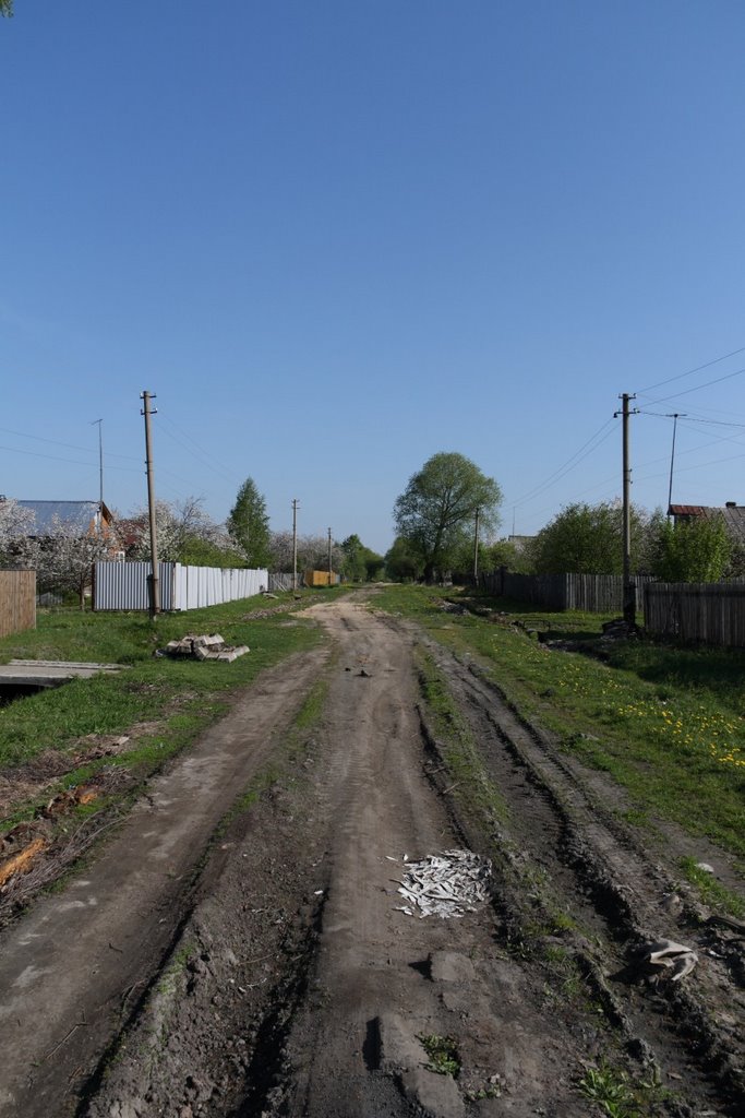 ул. Сосновская (на север)