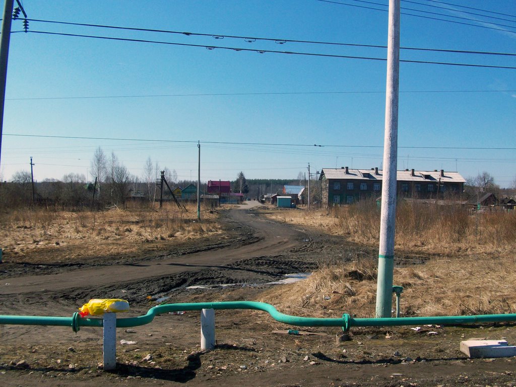 Догога из ст, Черусти