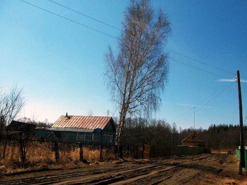 Домик в Черустях