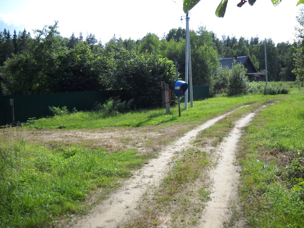 Savinskaya