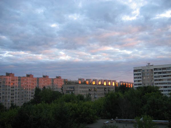 View from my window