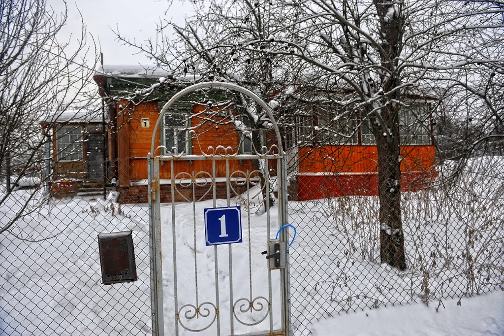Пушкина 1