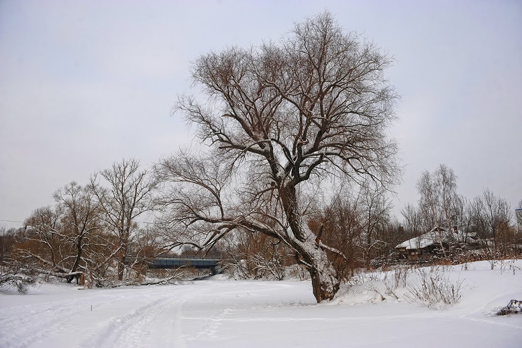 январь на Лопасне
