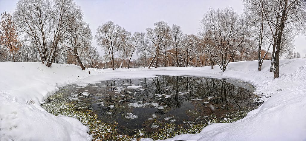 2013 январь