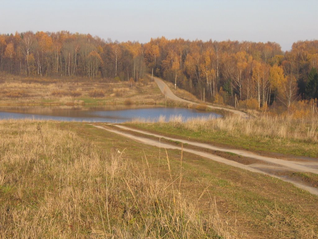 пруд в Шарапово