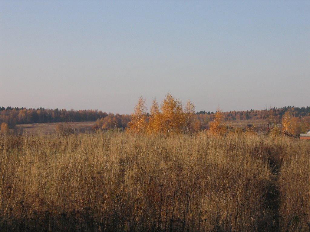 шараповское поле