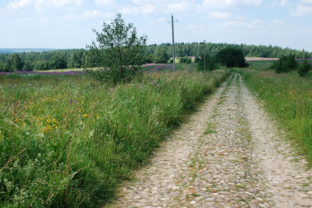 200 Years Road