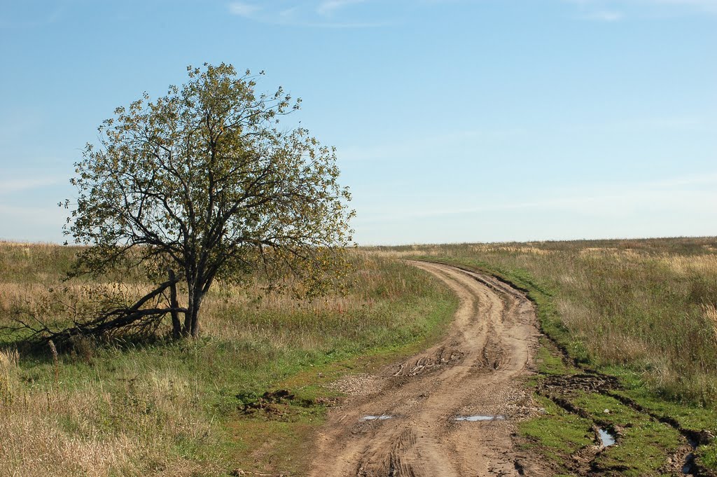 Посреди Поля