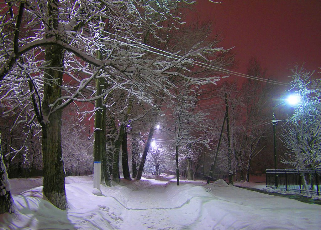 Зима в ночном городе