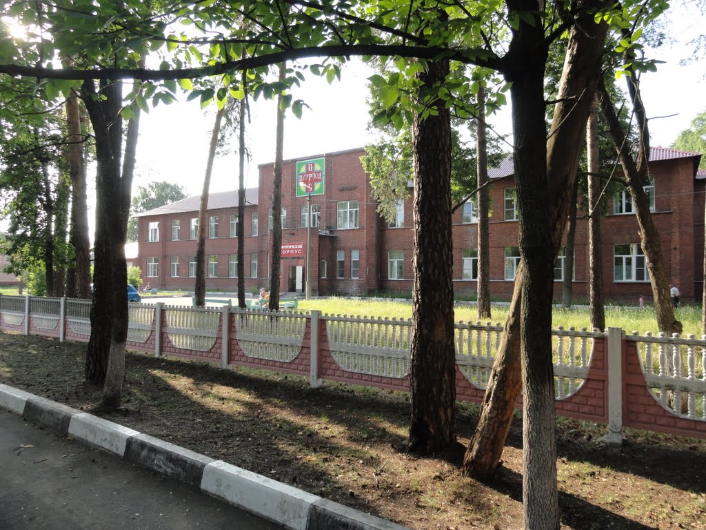 Шатура
