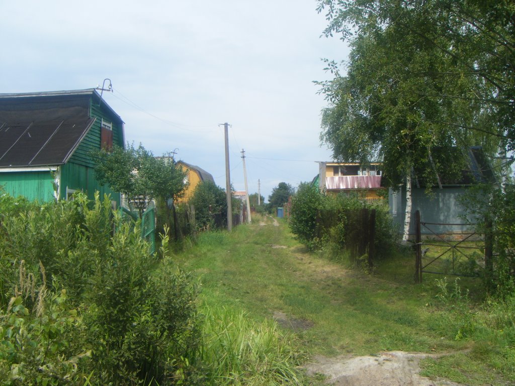 в конце 5 или 7 садовой