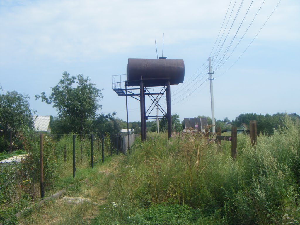 там