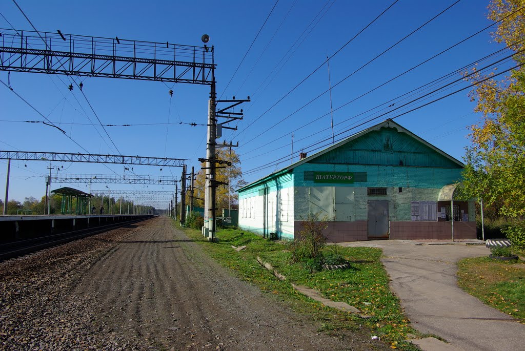 КАССЫ