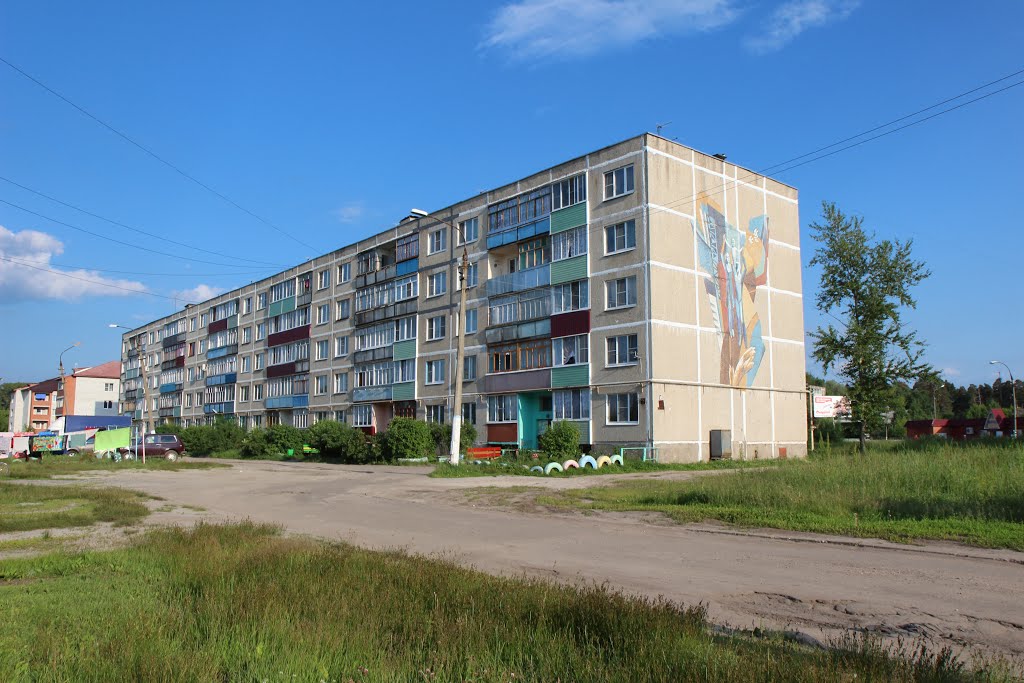 Шатурторф, Красные Ворота, 19