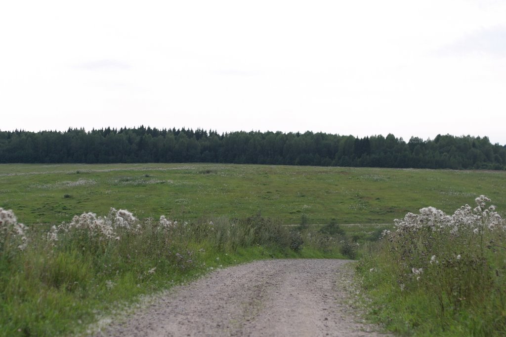 Замошская гора