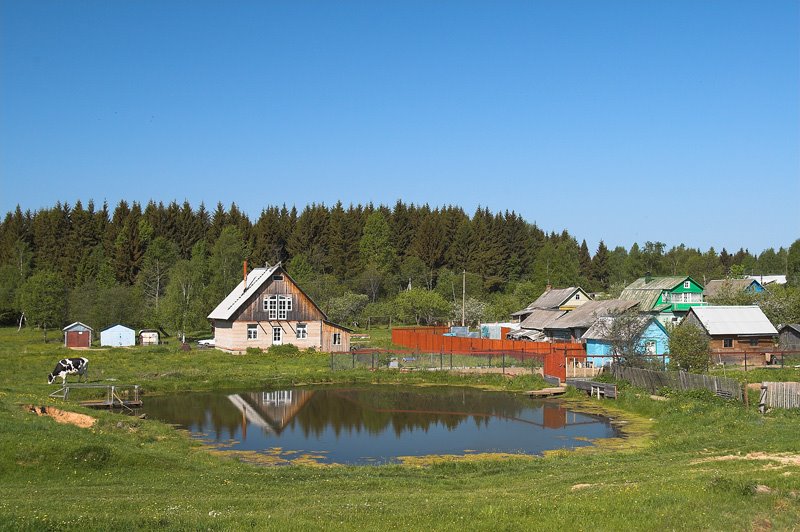 Шаховская окраины