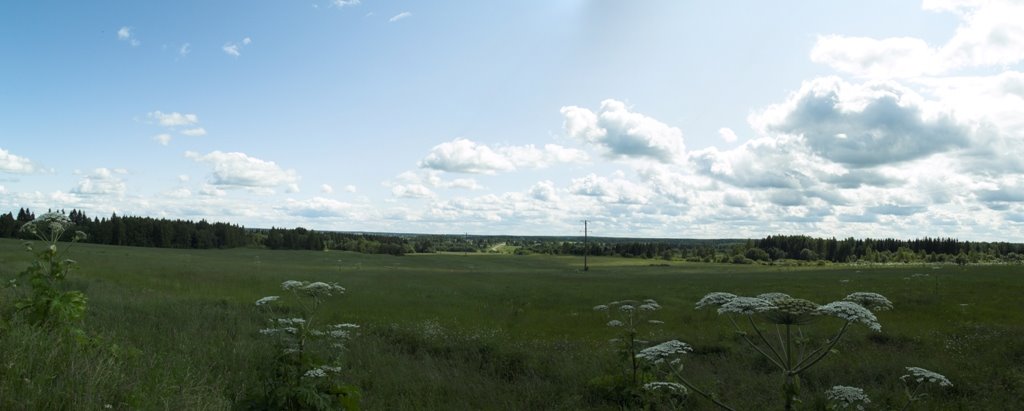 Июль 2009