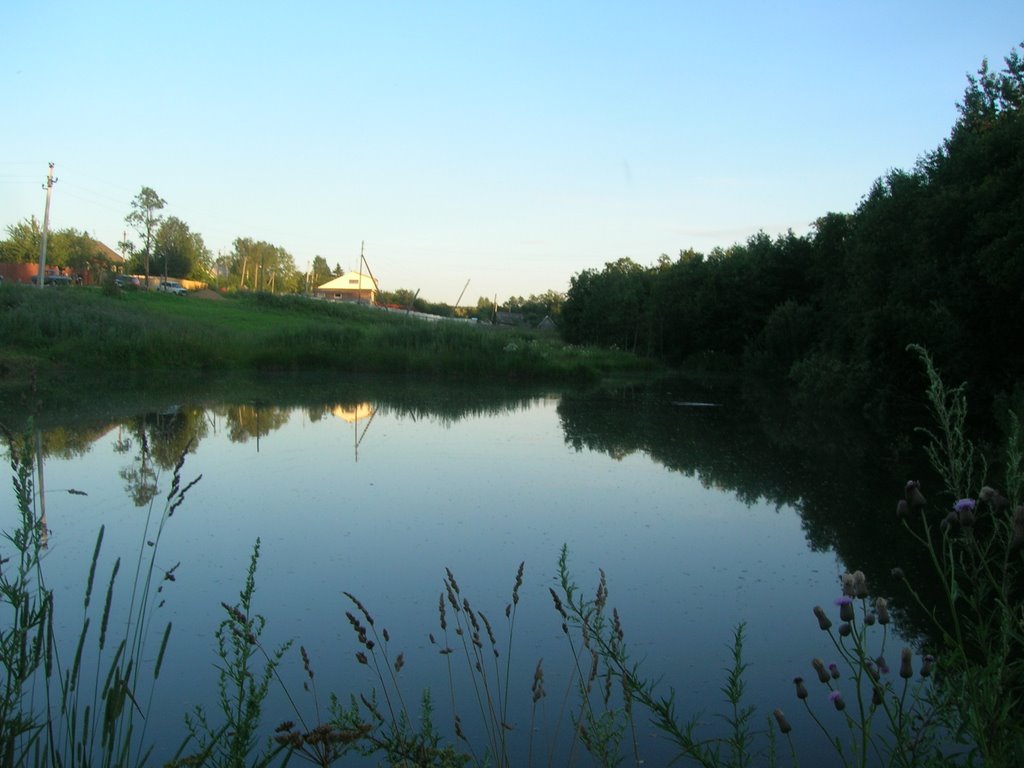 Павловское