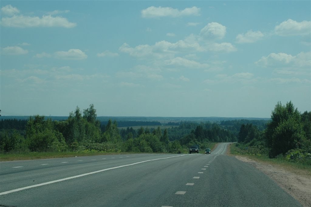 В районе пос.Дятлово, Московская область