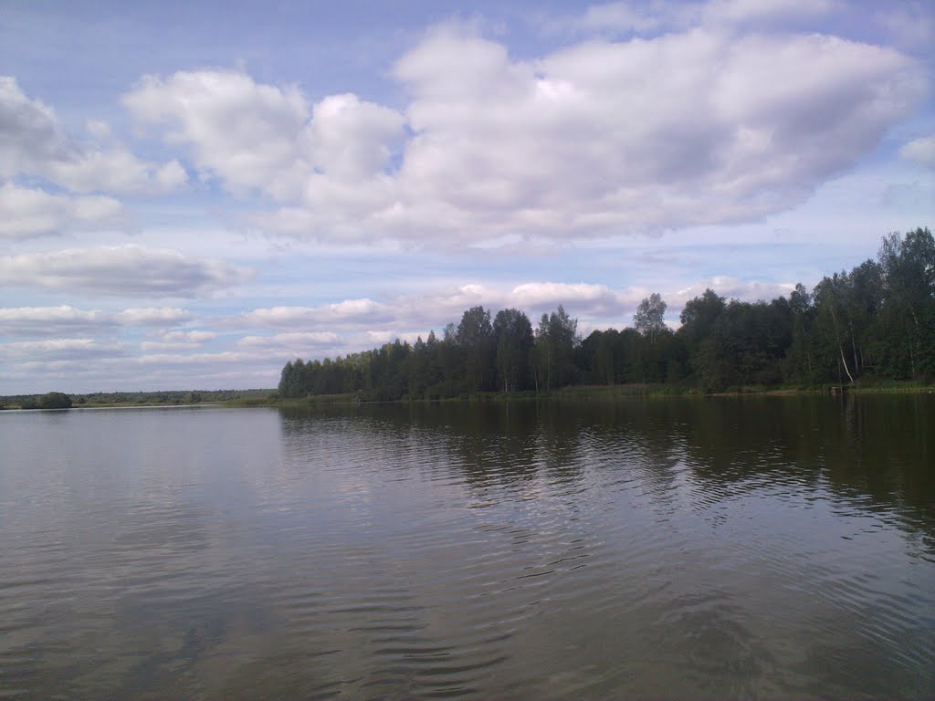 Залив