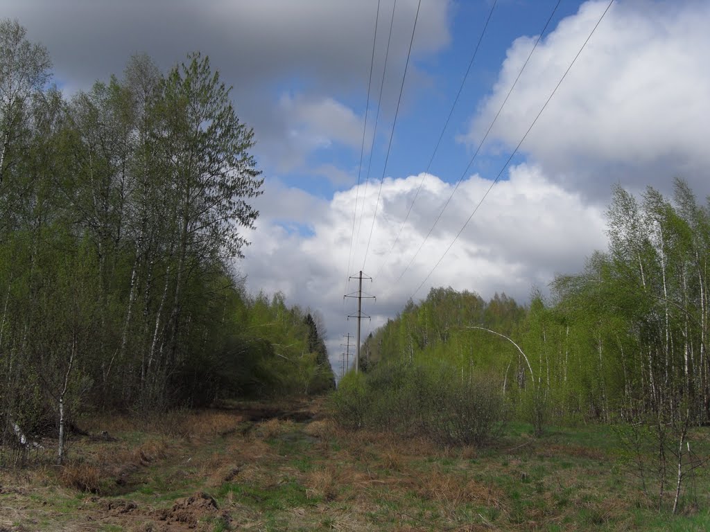 просека