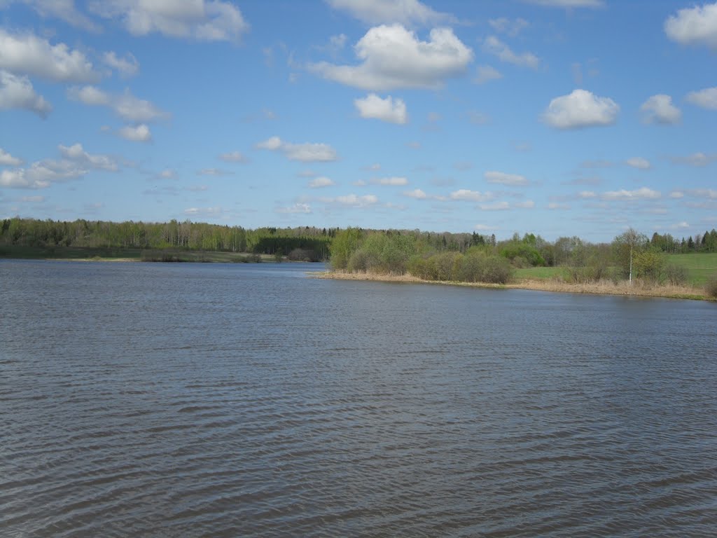 Водная гладь