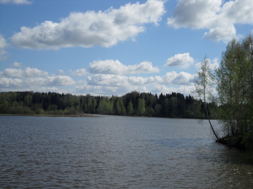 верхнерузское водохранилище