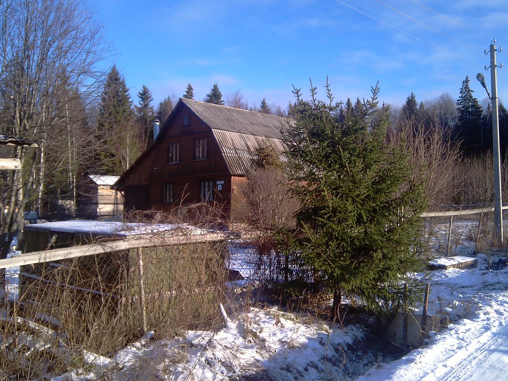 Заречная 8