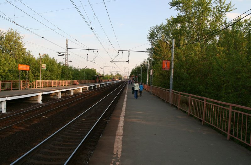 Khlebnikovo Station