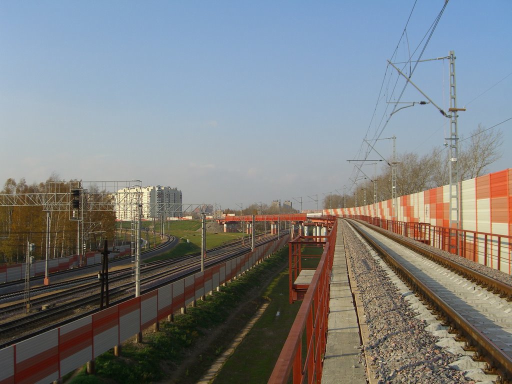 на мосту