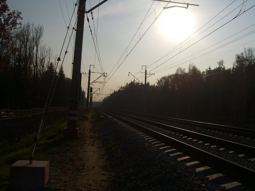 Солнечный путь в будущее